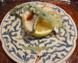 Dinner at Dogo Kaishu (道後 海舟)