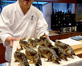 Dinner at Dogo Kaishu (道後 海舟)