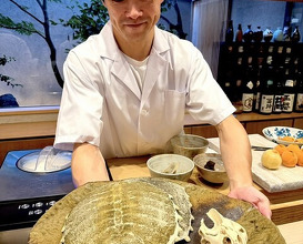 Dinner at Dogo Kaishu (道後 海舟)