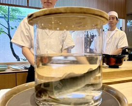 Dinner at Dogo Kaishu (道後 海舟)