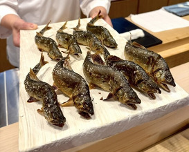 Dinner at Dogo Kaishu (道後 海舟)