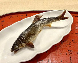 Dinner at Dogo Kaishu (道後 海舟)