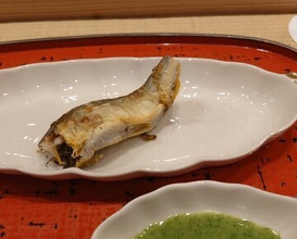 Dinner at Dogo Kaishu (道後 海舟)