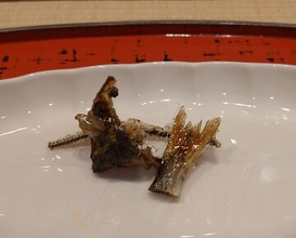 Dinner at Dogo Kaishu (道後 海舟)