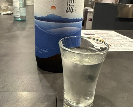 Dinner at Sushi Karashima
