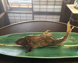Dinner at Kashiwaya Osaka Senriyama