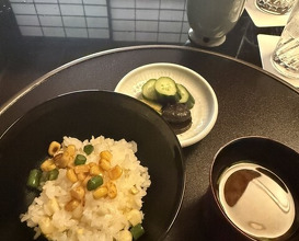 Dinner at Kashiwaya Osaka Senriyama