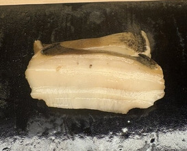 Dinner at Sushi Kibatani (鮨 木場谷)