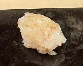 Dinner at Sushi Kibatani (鮨 木場谷)
