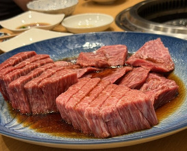 Dinner at Sumiyaki Kinryusan (炭焼 金竜山)