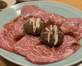 Dinner at Sumiyaki Kinryusan (炭焼 金竜山)