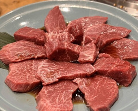 Dinner at Sumiyaki Kinryusan (炭焼 金竜山)