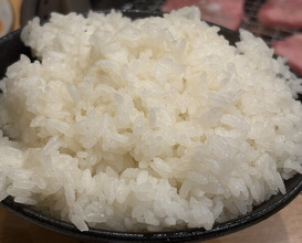 Dinner at Sumiyaki Kinryusan (炭焼 金竜山)