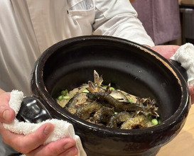 Dinner at Ginza Kitagawa