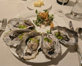 Dinner at Kitajima Tei (北島亭)