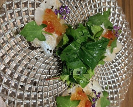 Dinner at kitchen Toshiki (kitchen俊貴)