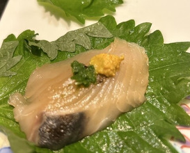 Dinner at Sushi Kizuna (鮓 きずな)