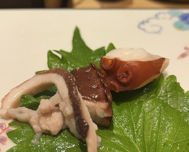 Dinner at Sushi Kizuna (鮓 きずな)