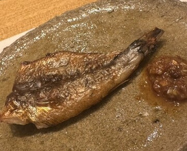 Dinner at Sushi Kizuna (鮓 きずな)