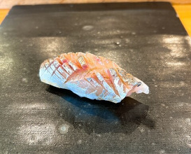 Dinner at Koban Zushi Tanagura (小判寿司 棚倉)