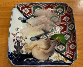 Dinner at Koban Zushi Tanagura (小判寿司 棚倉)