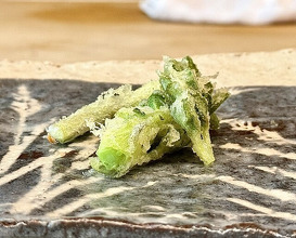 Dinner at Tempura Koizumi (天ぷら 小泉)
