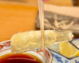 Dinner at Tempura Koizumi (天ぷら 小泉)