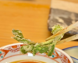 Dinner at Tempura Koizumi (天ぷら 小泉)