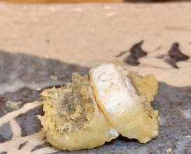 Dinner at Tempura Koizumi (天ぷら 小泉)