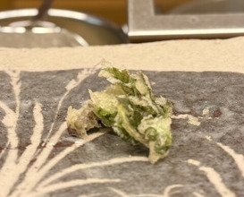 Dinner at Tempura Koizumi (天ぷら 小泉)