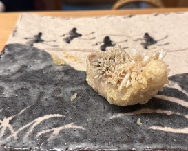 Dinner at Tempura Koizumi (天ぷら 小泉)