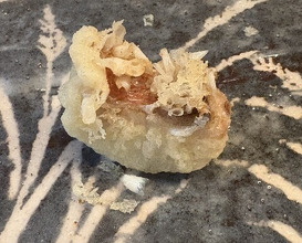 Dinner at Tempura Koizumi (天ぷら 小泉)