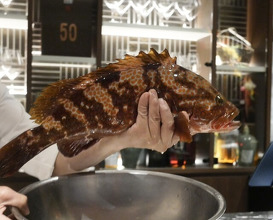 Dinner at Hongshiki Ryori Koki (港式料理 鴻禧)