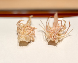 Dinner at Tempura Kondo (てんぷら 近藤)