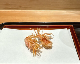 Dinner at Tempura Kondo (てんぷら 近藤)