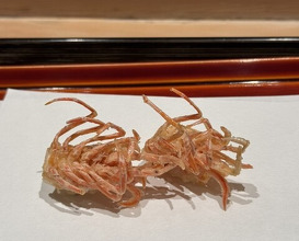 Dinner at Tempura Kondo (てんぷら 近藤)
