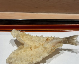 Dinner at Tempura Kondo (てんぷら 近藤)