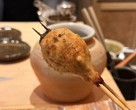 Dinner at Yakitori Koto (焼き鳥 こと)
