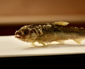 Dinner at Tempura Kuruma