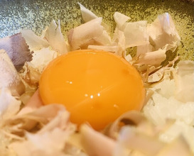 Dinner at Kyoaji Motoi (京味 もと井)
