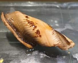Dinner at Kyogoku Zushi (京極寿司)