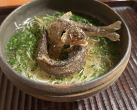 Dinner at Kyotenjin Noguchi (京天神 野口)