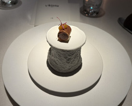 Dinner at Ginza L'ecrin
