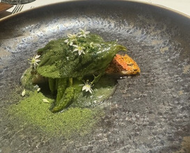 Dinner at LA VAGABONDE (ラ・ヴァガボンド)