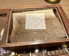 Dinner at LATURE (ラチュレ)
