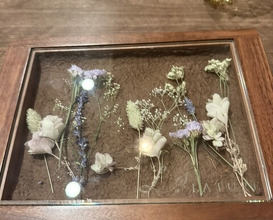 Dinner at LATURE (ラチュレ)