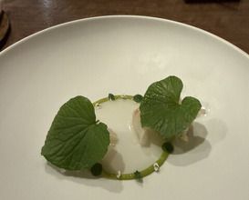 Dinner at LATURE (ラチュレ)