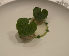 Dinner at LATURE (ラチュレ)