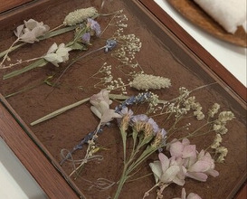 Dinner at LATURE (ラチュレ)