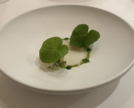 Dinner at LATURE (ラチュレ)